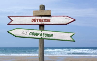 La compassion ne fatigue pas